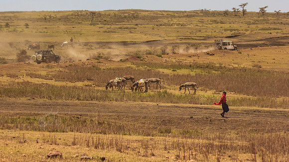 maasai old and new