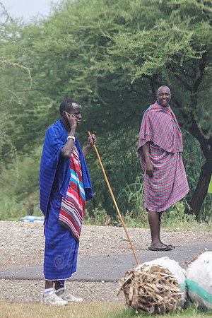 cell phone herder