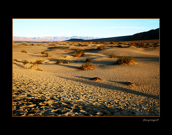 Death Valley dunes