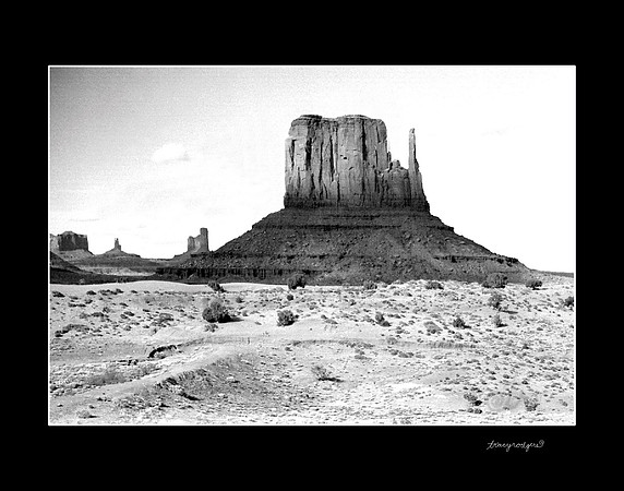 The Mitten