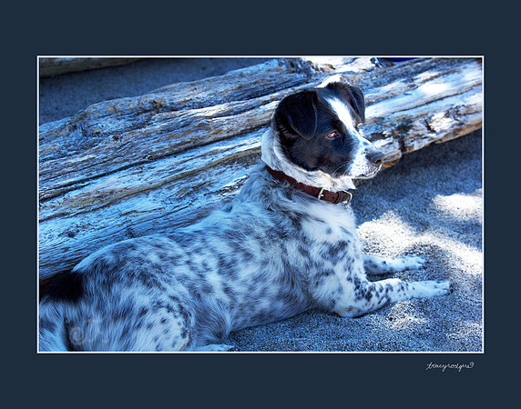 Jake at lake