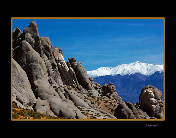 White mts