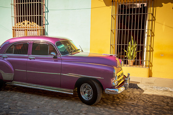 purple beaut