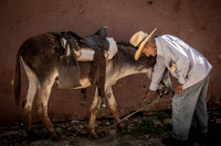 donkey man