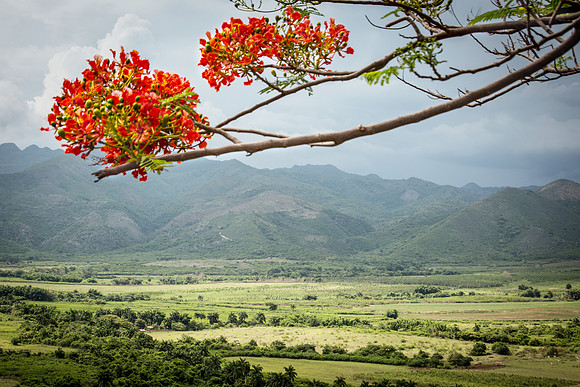 green valle