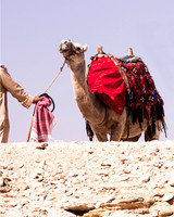 camel guide