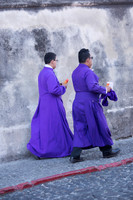 The Purples