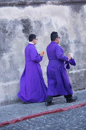 The Purples