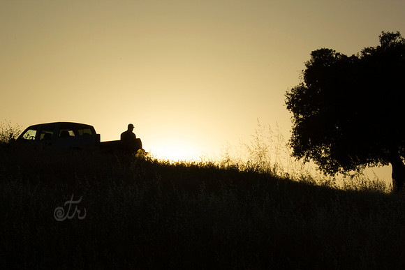 contemplate