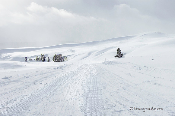 Winter Road