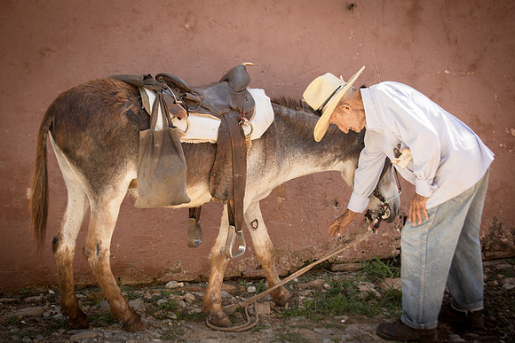 Burro Man